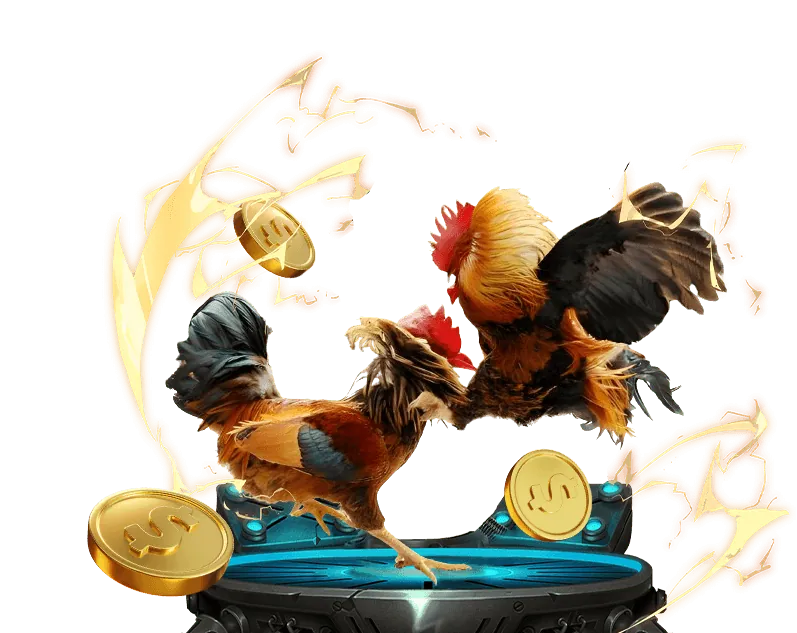 Cá cược Thể Thao hot51